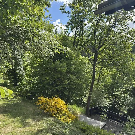 Semesterbostad Sackpfeifenblick, *