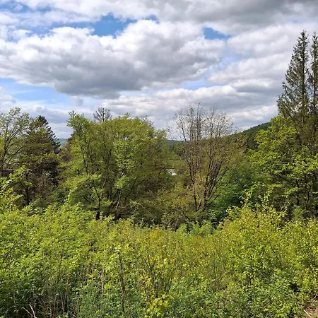 Sackpfeifenblick, * Hatzfeld