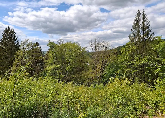 Sackpfeifenblick, * Hatzfeld